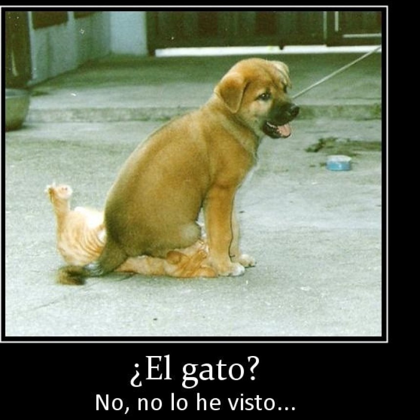 UN POCO DE HUMOR.-