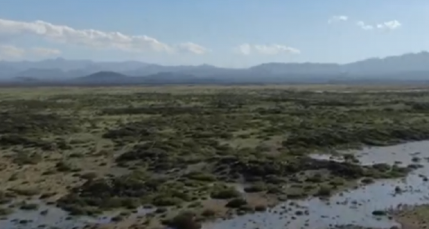LLANCANELO DESASTRE AMBIENTAL TANTO IRRIGACIÓN COMO LA SECRETARÍA DE AMBIENTE RESPONSABLES.