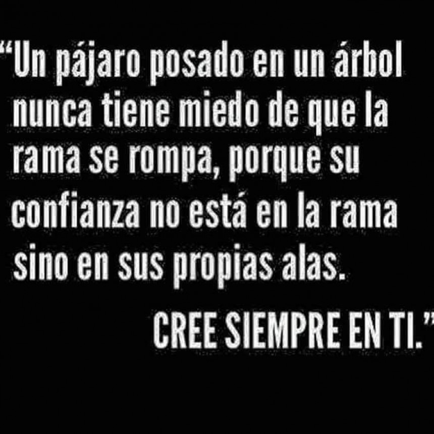 CITAS Y FRASES DIARIAS.-