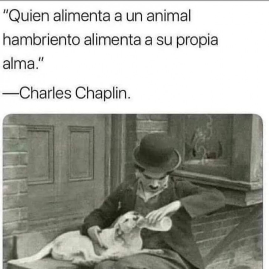 CITAS Y FRASES DIARIAS.-