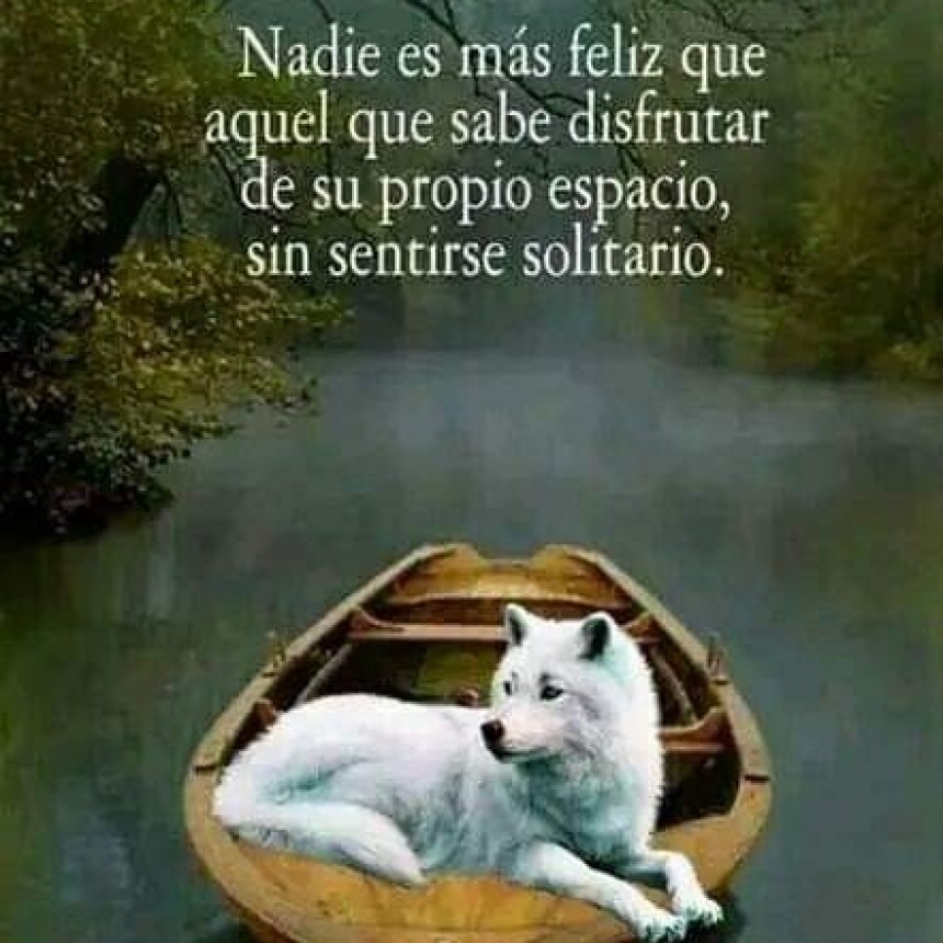 CITAS Y FRASES DIARIAS.-