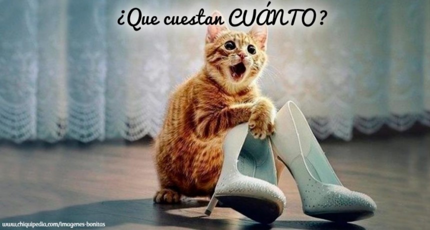 UN POCO DE HUMOR.-