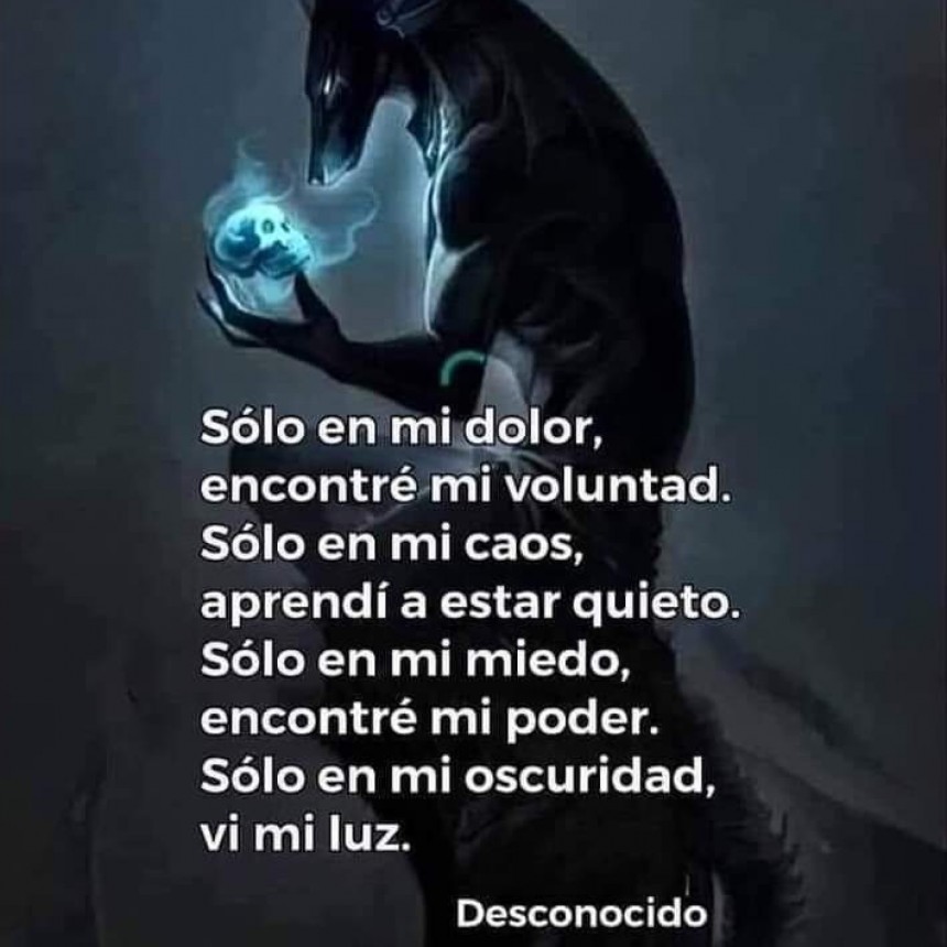 CITAS Y FRASES DIARIAS.-