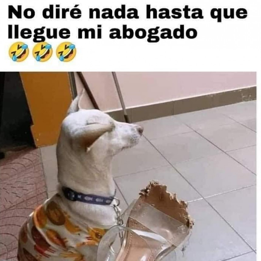 UN POCO DE HUMOR.-