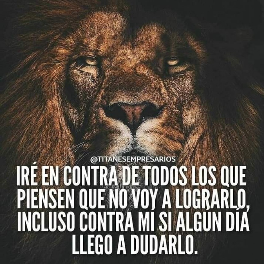 CITAS Y FRASES DIARIAS.-