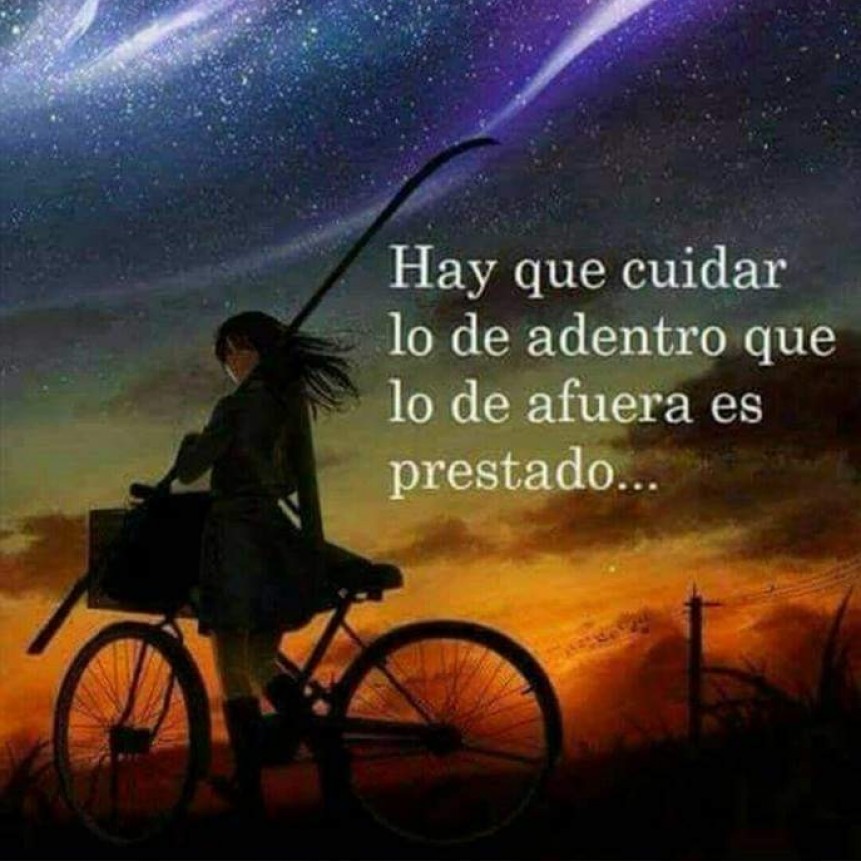 CITAS Y FRASES DIARIAS.-