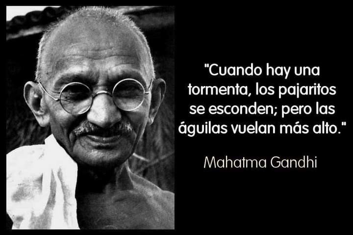 CITAS Y FRASES.-