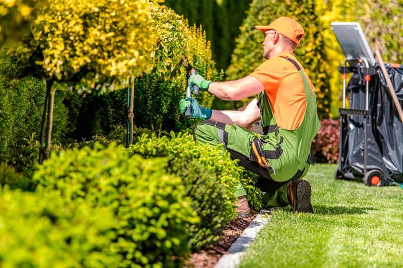 Curso de siembra y mantenimiento de c&eacute;sped para emprendedores en Luj&aacute;n de Cuyo