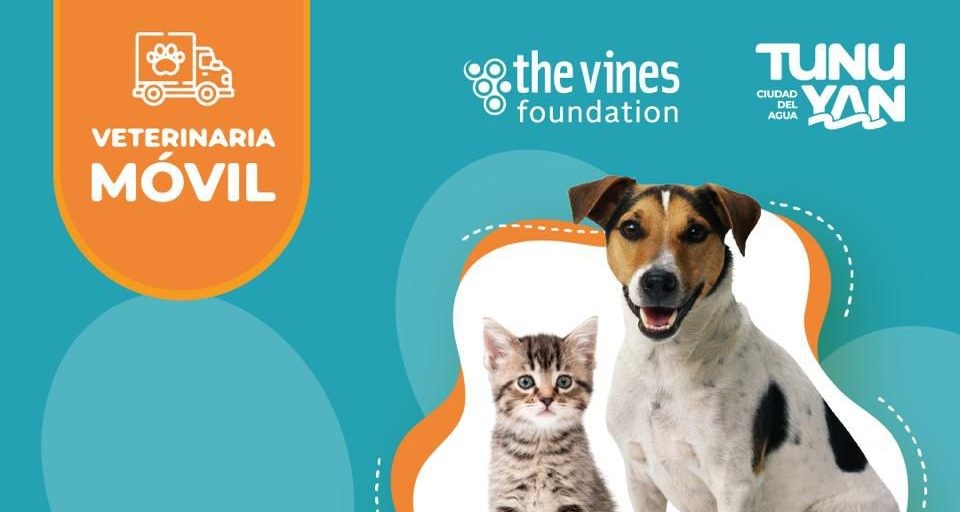 El Algarrobo: Nuevo operativo de castraci&oacute;n gratuita