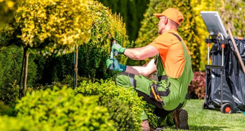 Curso de siembra y mantenimiento de c&eacute;sped para emprendedores en Luj&aacute;n de Cuyo