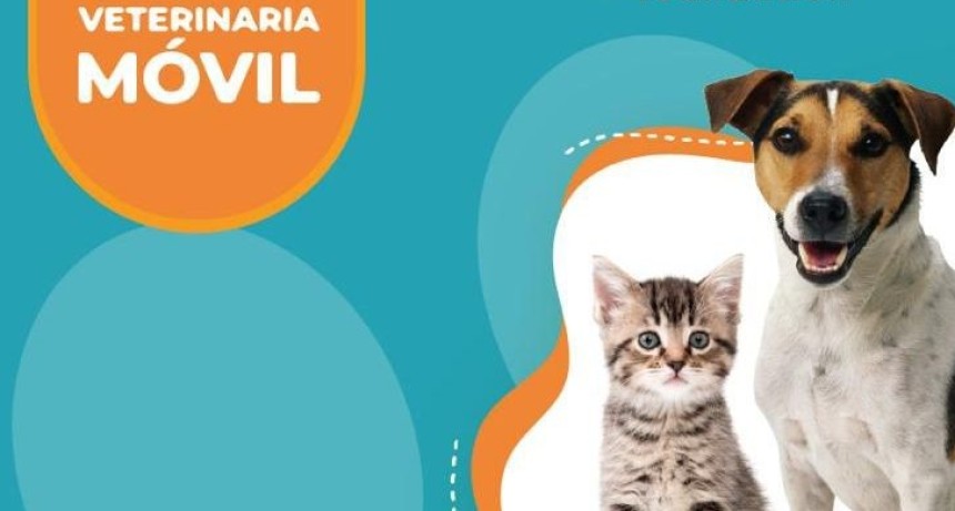 El Algarrobo: Nuevo operativo de castraci&oacute;n gratuita