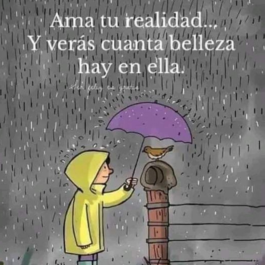 CITAS Y FRASES DIARIAS.-