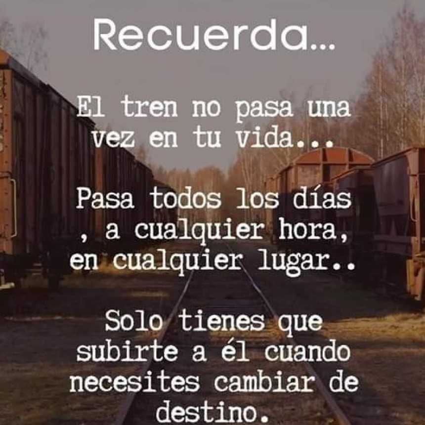 CITAS Y FRASES DIARIAS.-