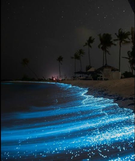 LUGARES SO&Ntilde;ADOS.-