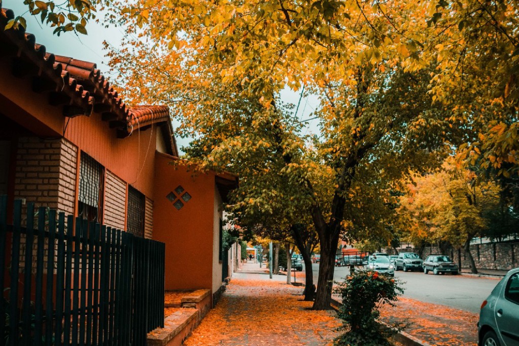 Tupungato recuerda la prohibici&oacute;n de quemar hojas y residuos