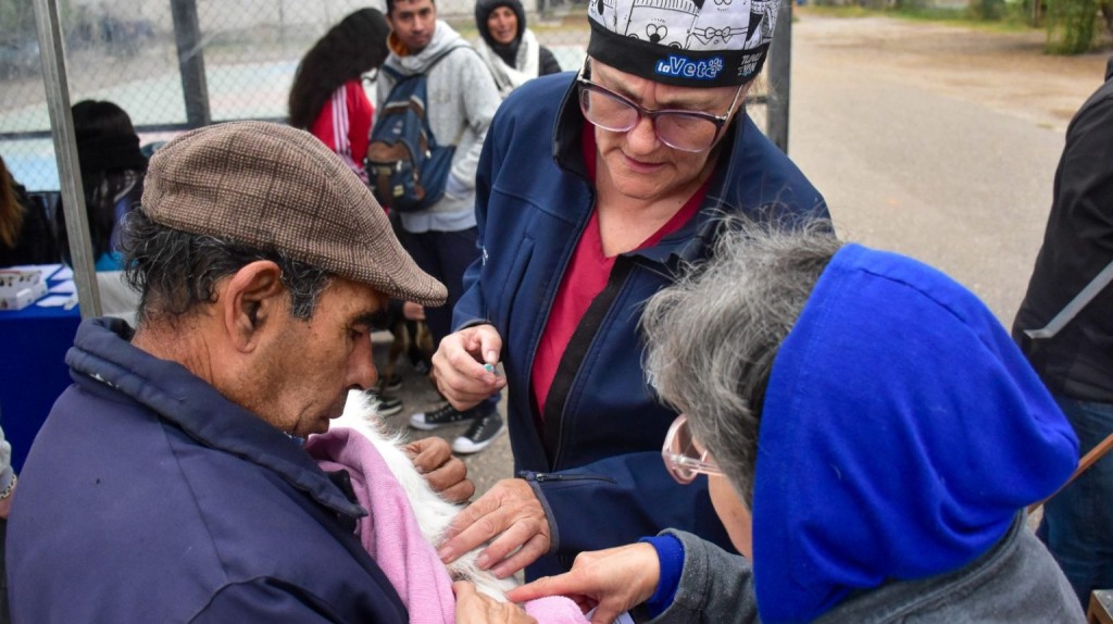 Castraciones para perros y gatos: la Veterinaria M&oacute;vil recorre Tunuy&aacute;n con operativos gratuitos