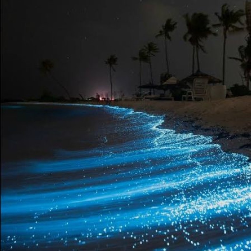 LUGARES SO&Ntilde;ADOS.-