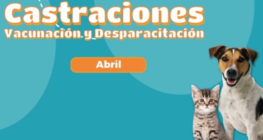 Abril suma nuevos operativos de castraci&oacute;n gratuita con la veterinaria m&oacute;vil
