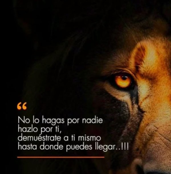 CITAS Y FRASES.-