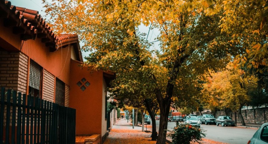 Tupungato recuerda la prohibici&oacute;n de quemar hojas y residuos