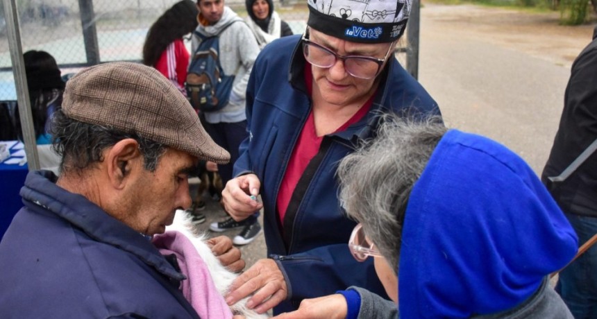 Castraciones para perros y gatos: la Veterinaria M&oacute;vil recorre Tunuy&aacute;n con operativos gratuitos
