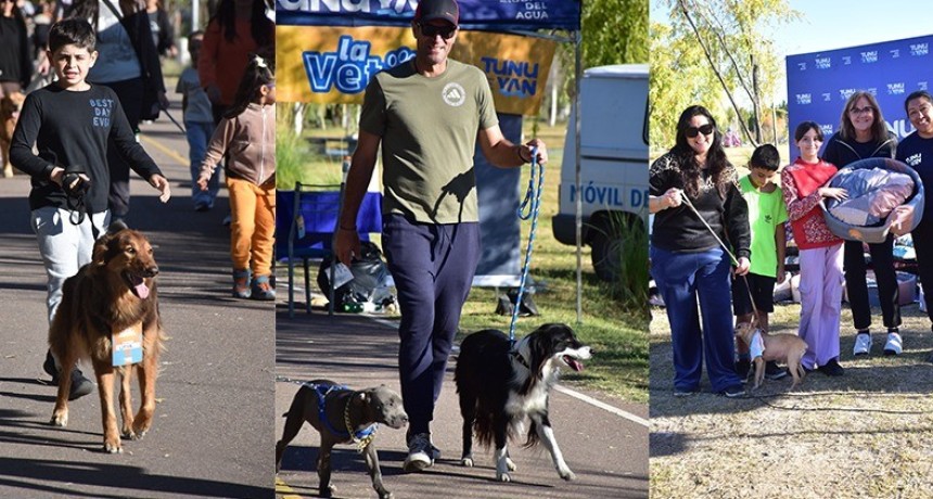 Masiva participaci&oacute;n en el Encuentro Mascotero: las mascotas, las grandes protagonistas