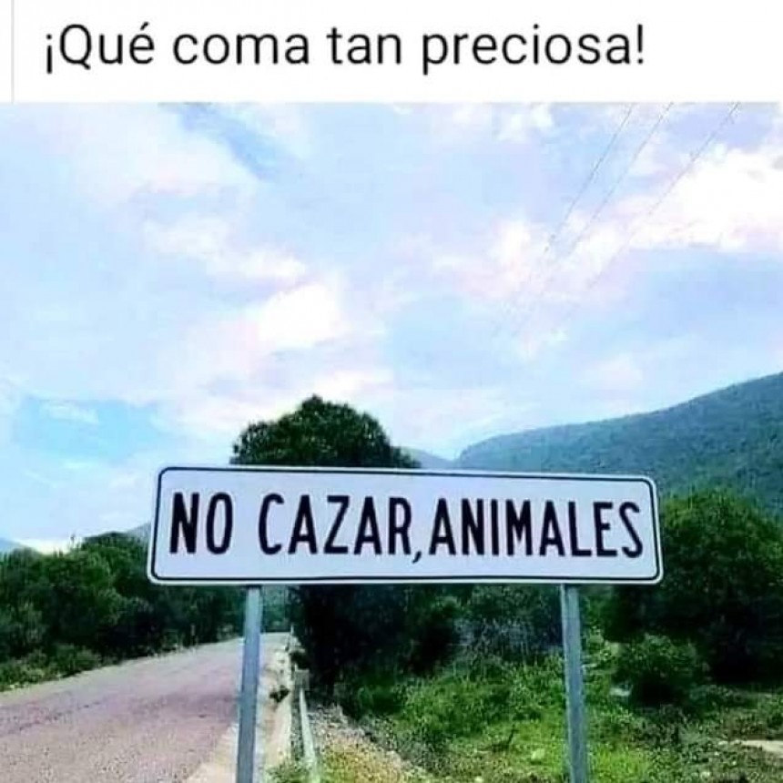 UN POCO DE HUMOR.-