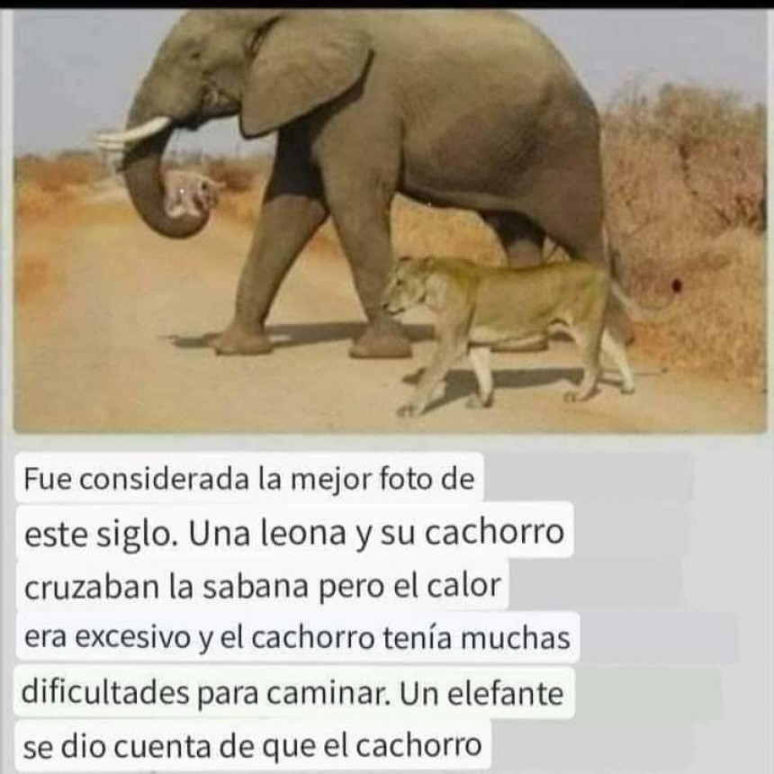 CURIOSIDADES.-