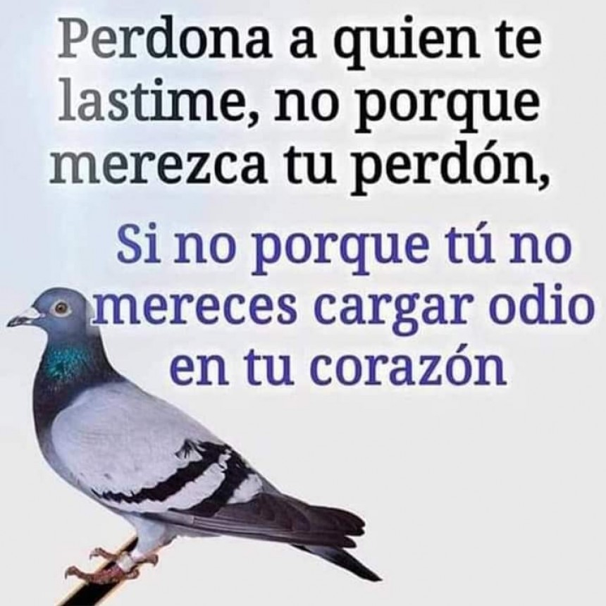 CITAS Y FRASES.-