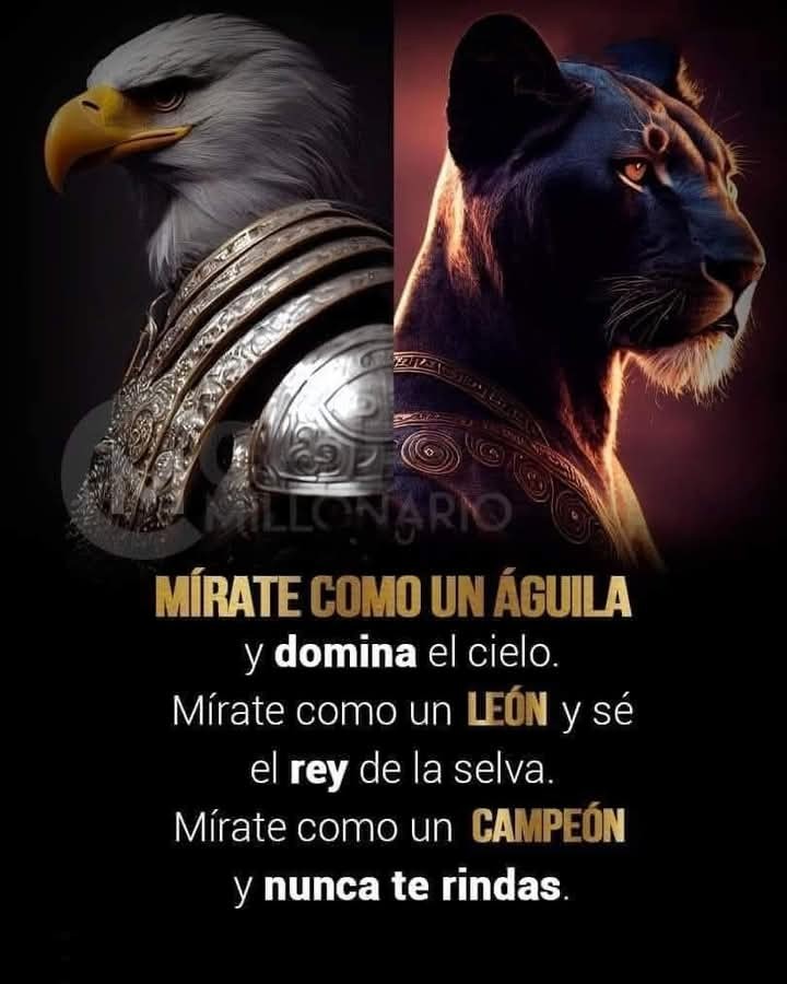 CITAS Y FRASES.-