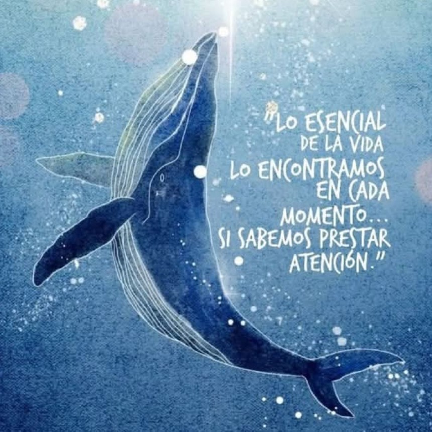 LA VIDA.-