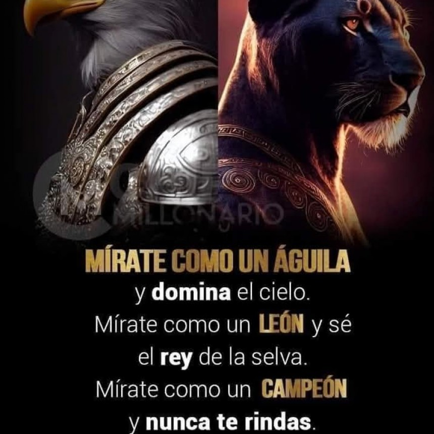 CITAS Y FRASES.-