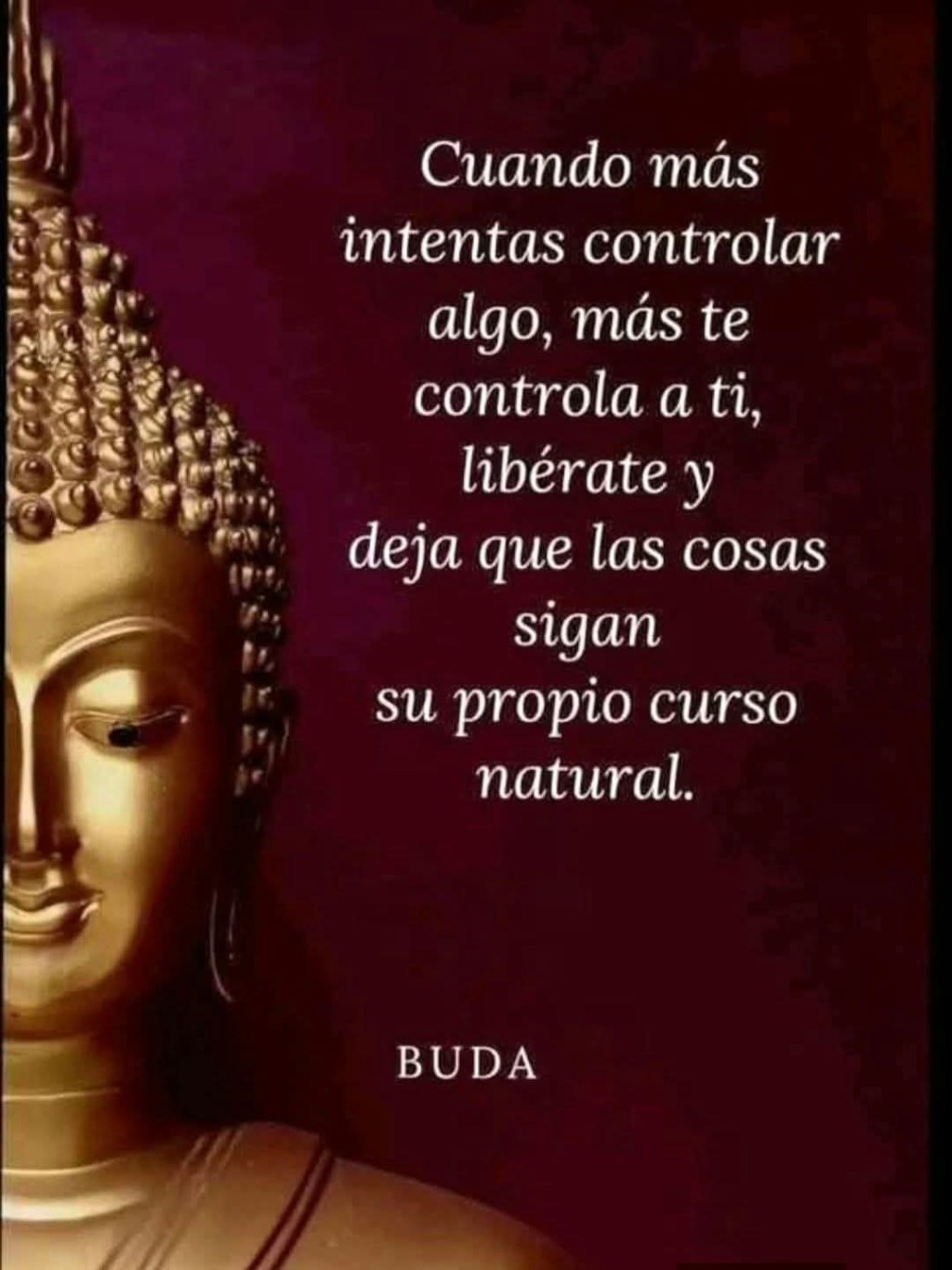 CITAS Y FRASES.-