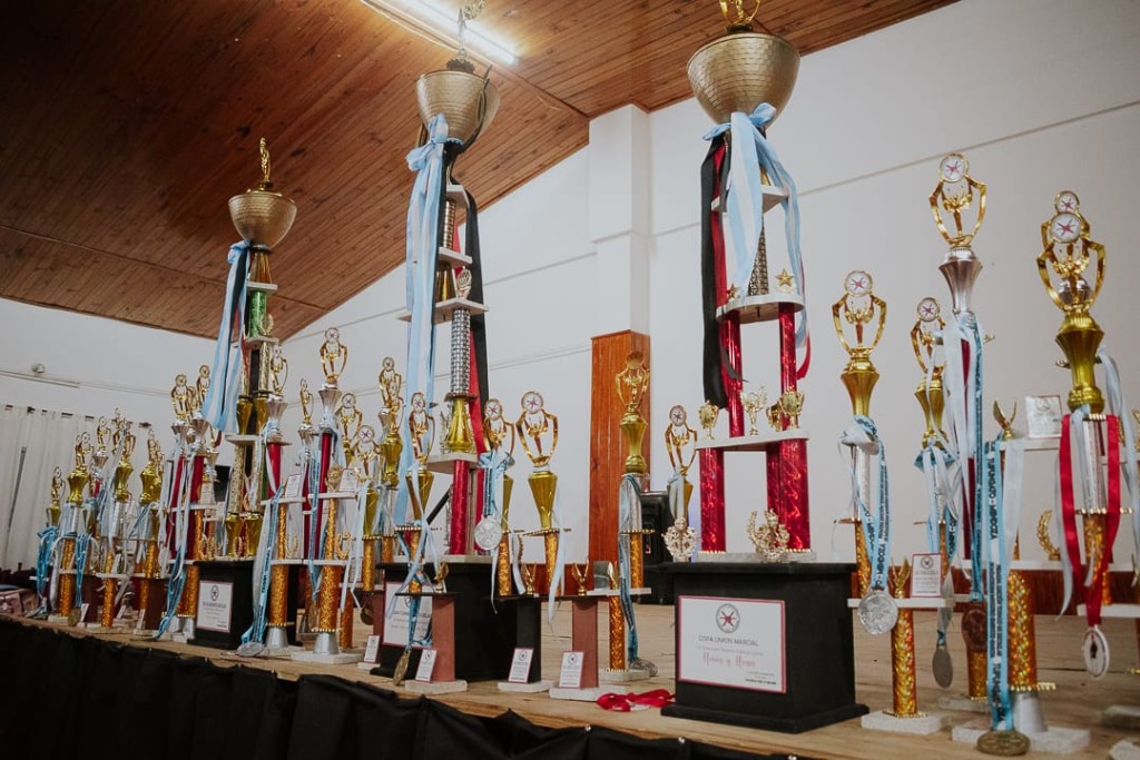 La gesti&oacute;n del Intendente de Tupungato reconoci&oacute; al profesor Diego Ger&oacute;nimo por el Torneo de Chaiu Do Kwan en homenaje al Maestro Fabricio Garc&iacute;a