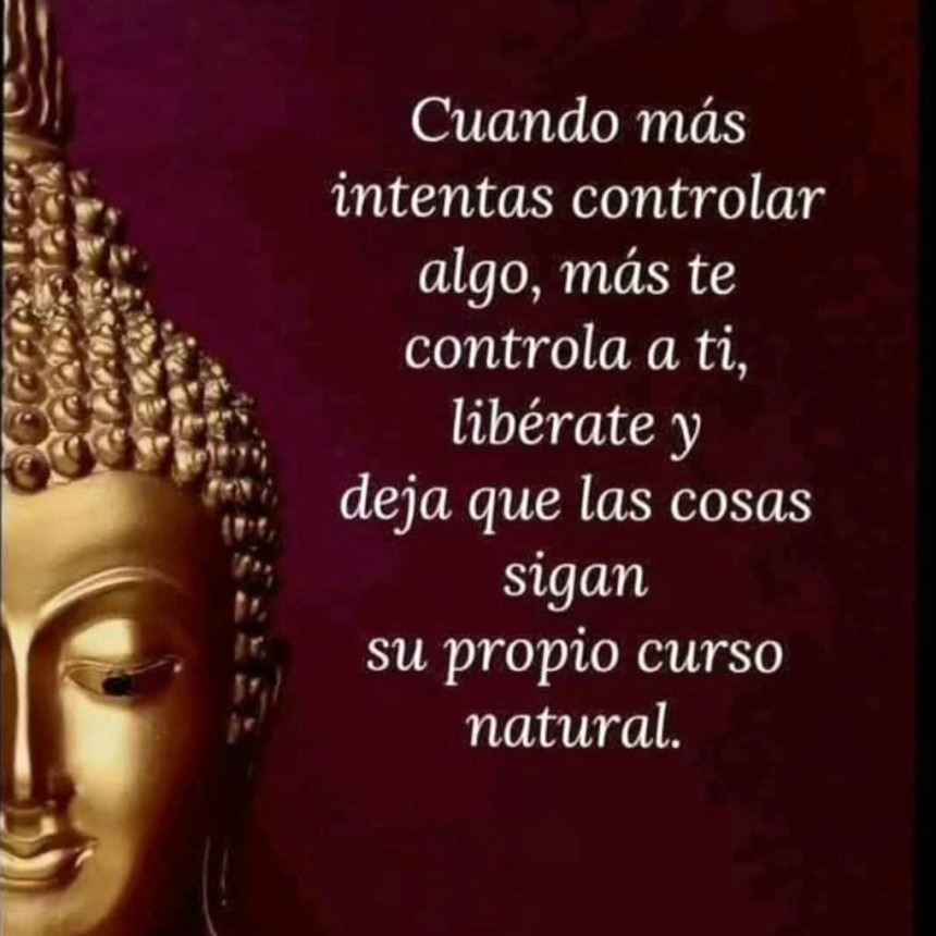 CITAS Y FRASES.-