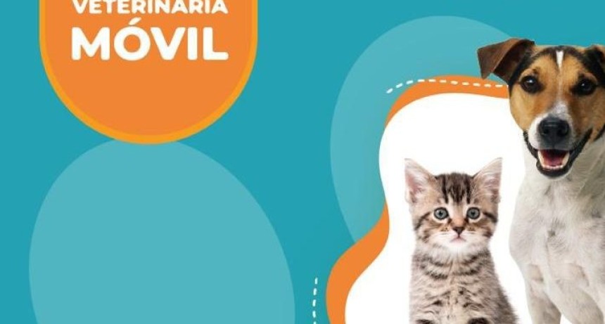 Cronograma de Junio: Contin&uacute;a el operativo de castraci&oacute;n gratuita