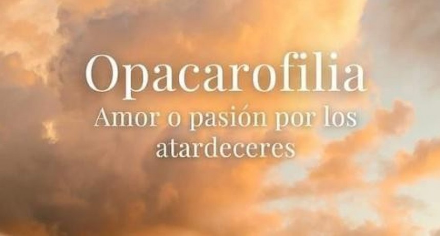 CURIOSIDADES.-