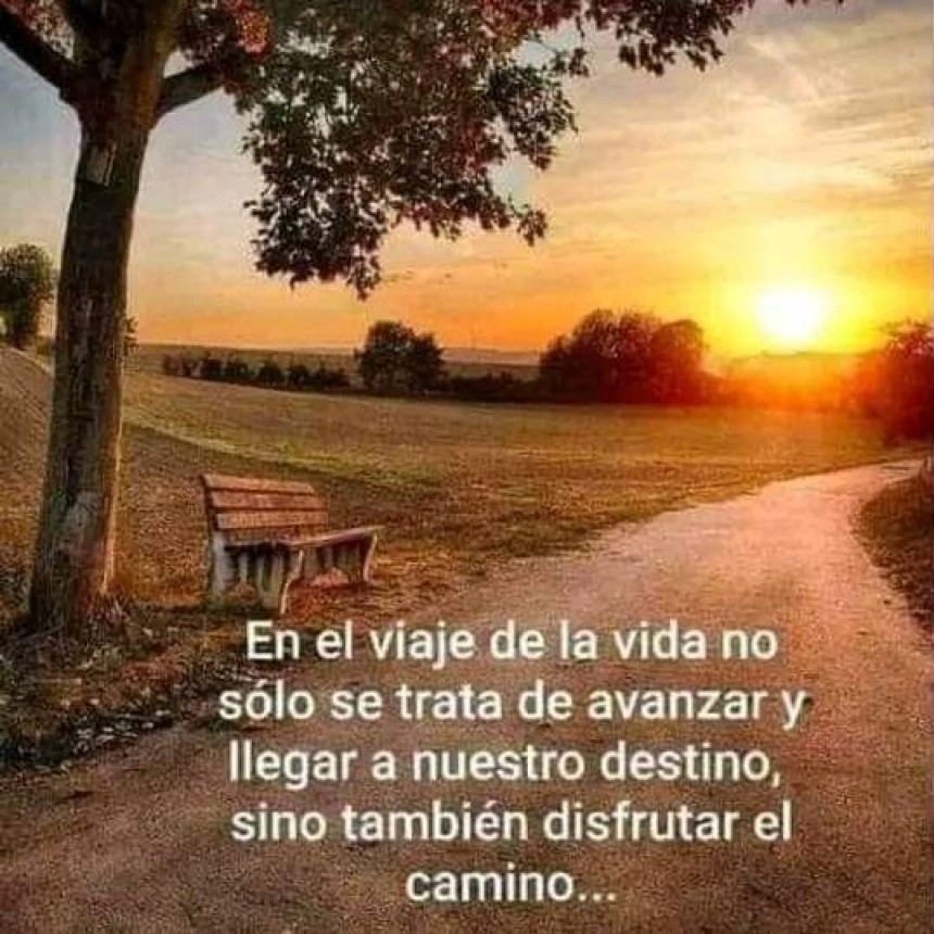 LA VIDA.-