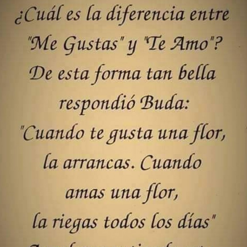 CITAS Y FRASES.-