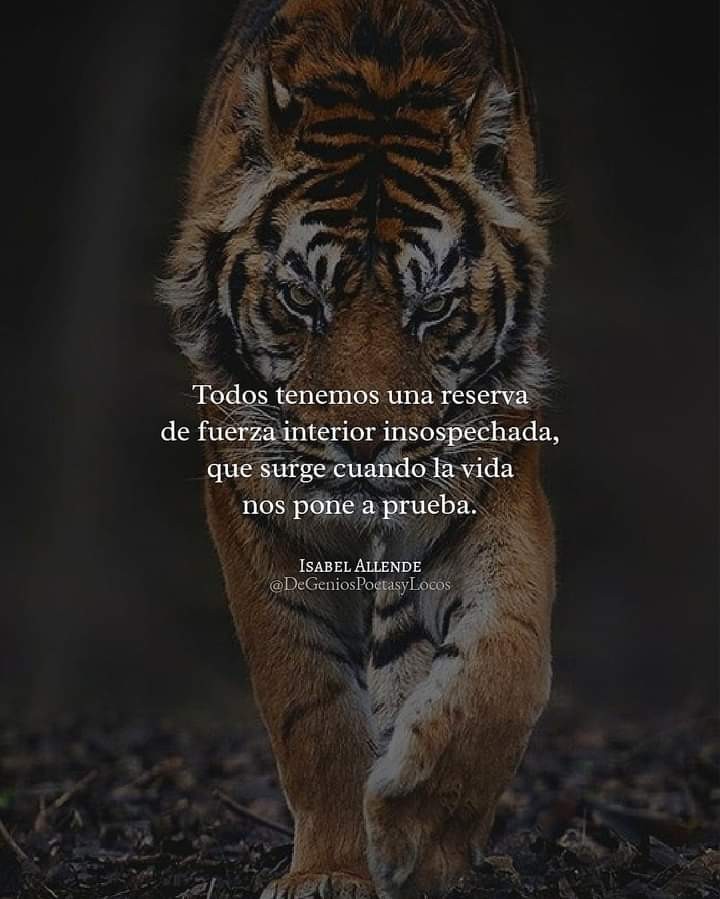 CITAS Y FRASES.-