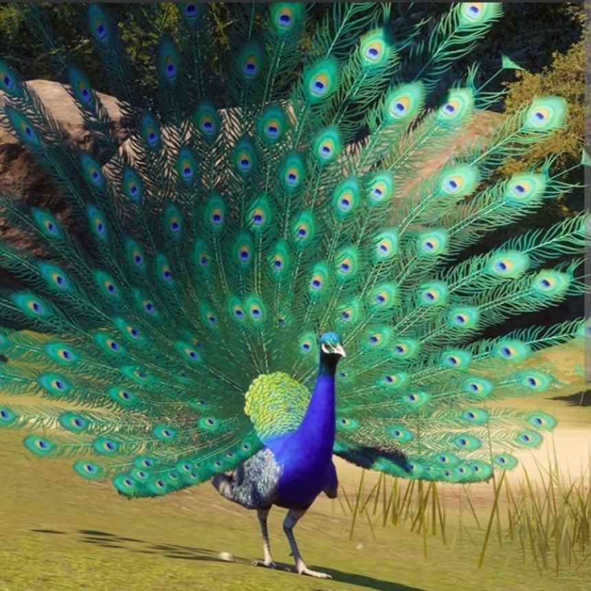 NATURALEZA VIVA.-