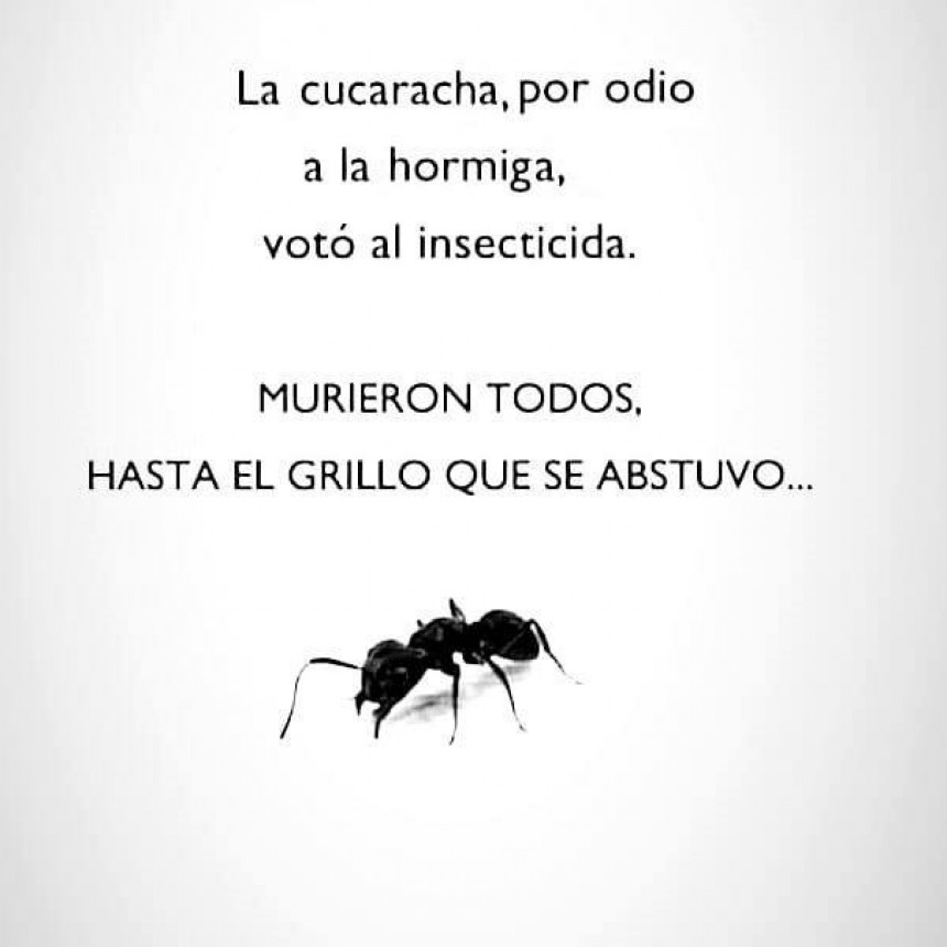ARGENTINA INMERSA EN EL “VOTO INSECTICIDA” CUANDO EL ODIO ES MÁS FUERTE