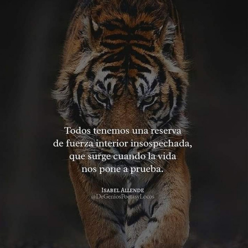 CITAS Y FRASES.-