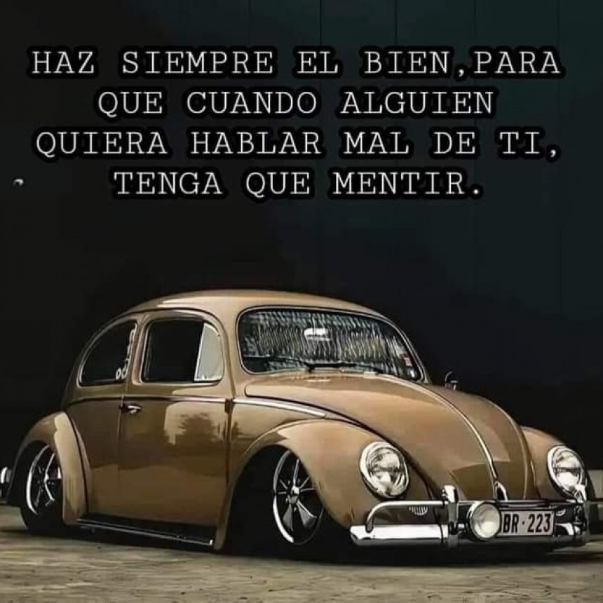 CITAS Y FRASES.-