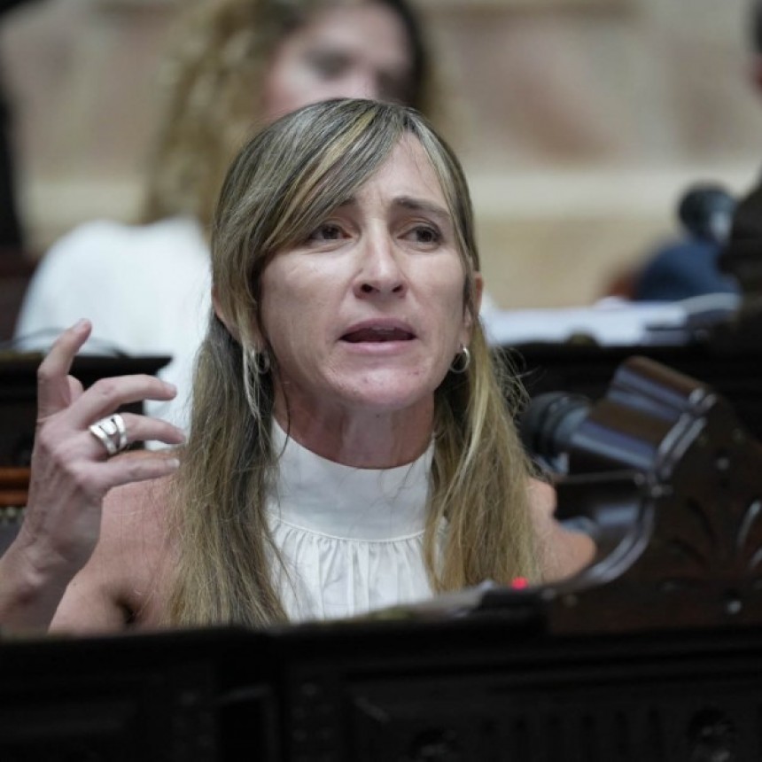 La Diputada Nacional Mercedes Llano, presentó un proyecto de Ley para limitar el gasto del Congreso Nacional