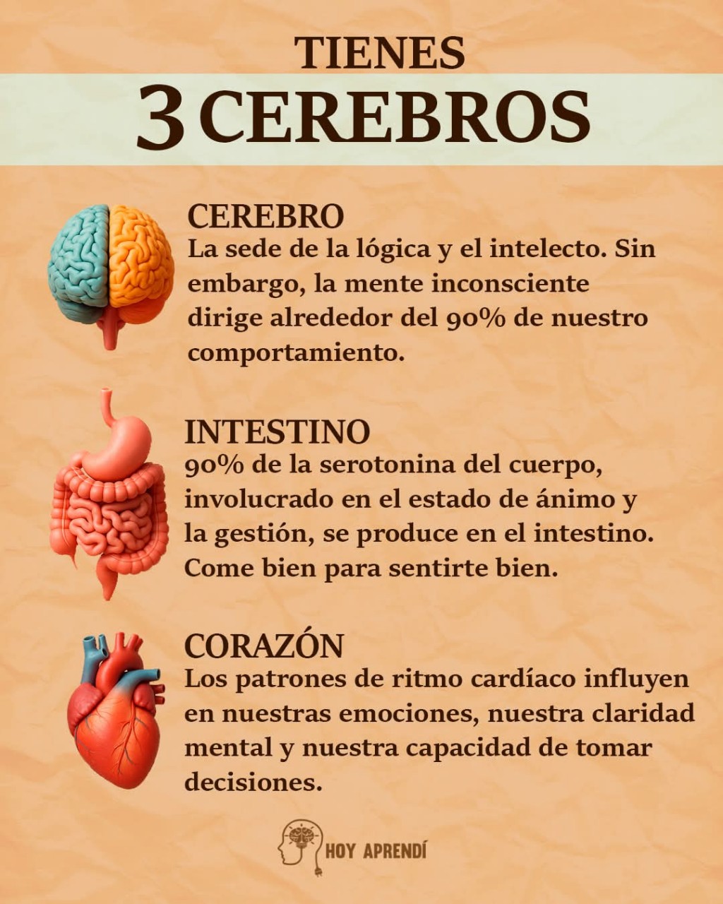 CURIOSIDADES.-
