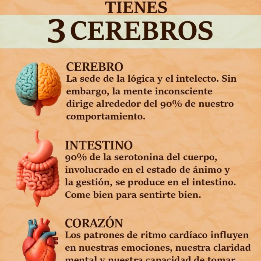 CURIOSIDADES.-