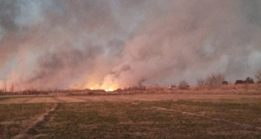 EL GRAVE INCENDIO PROVOCADO EN LAVALLE DEL QUE NADIE HABLA, CONTAMINACION CORRUPTA, SILENCIO CÓMPLICE DEL GOBIERNO Y LOS HIJOS DE LA PAUTA