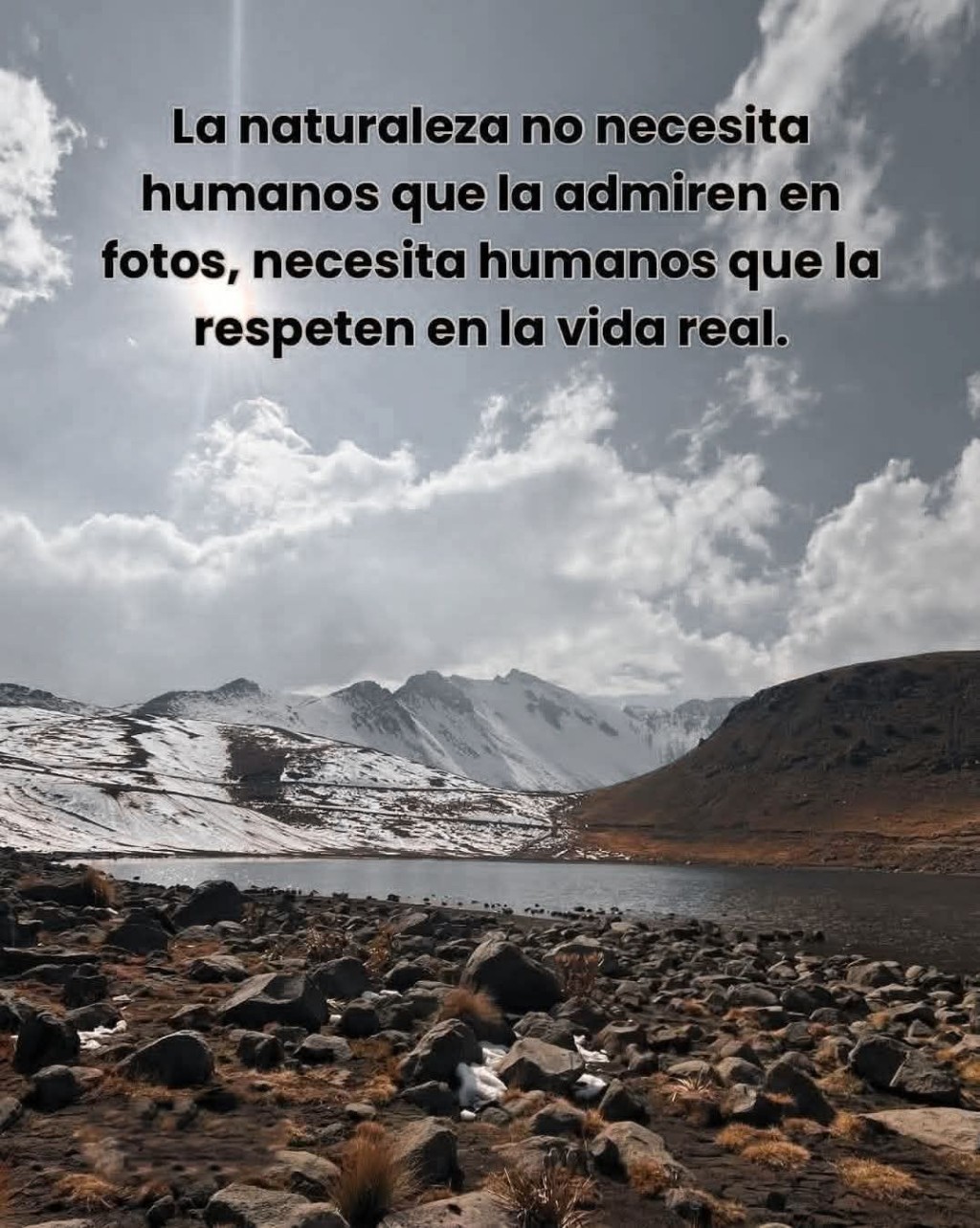 NATURALEZA VIVA.-