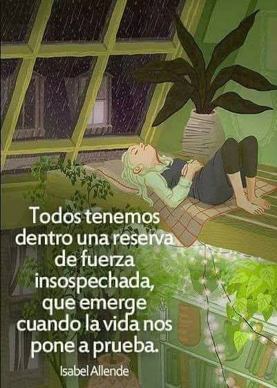 CITAS Y FRASES.-